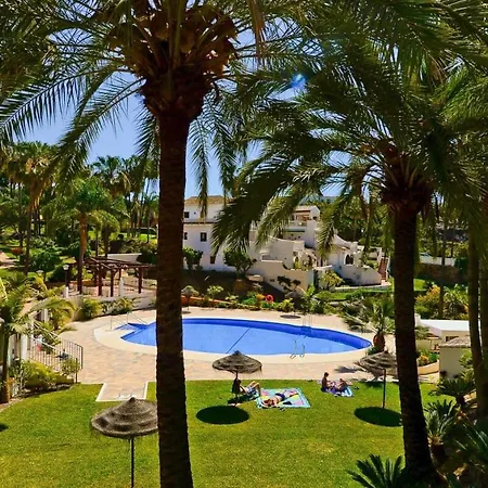 Oasis *